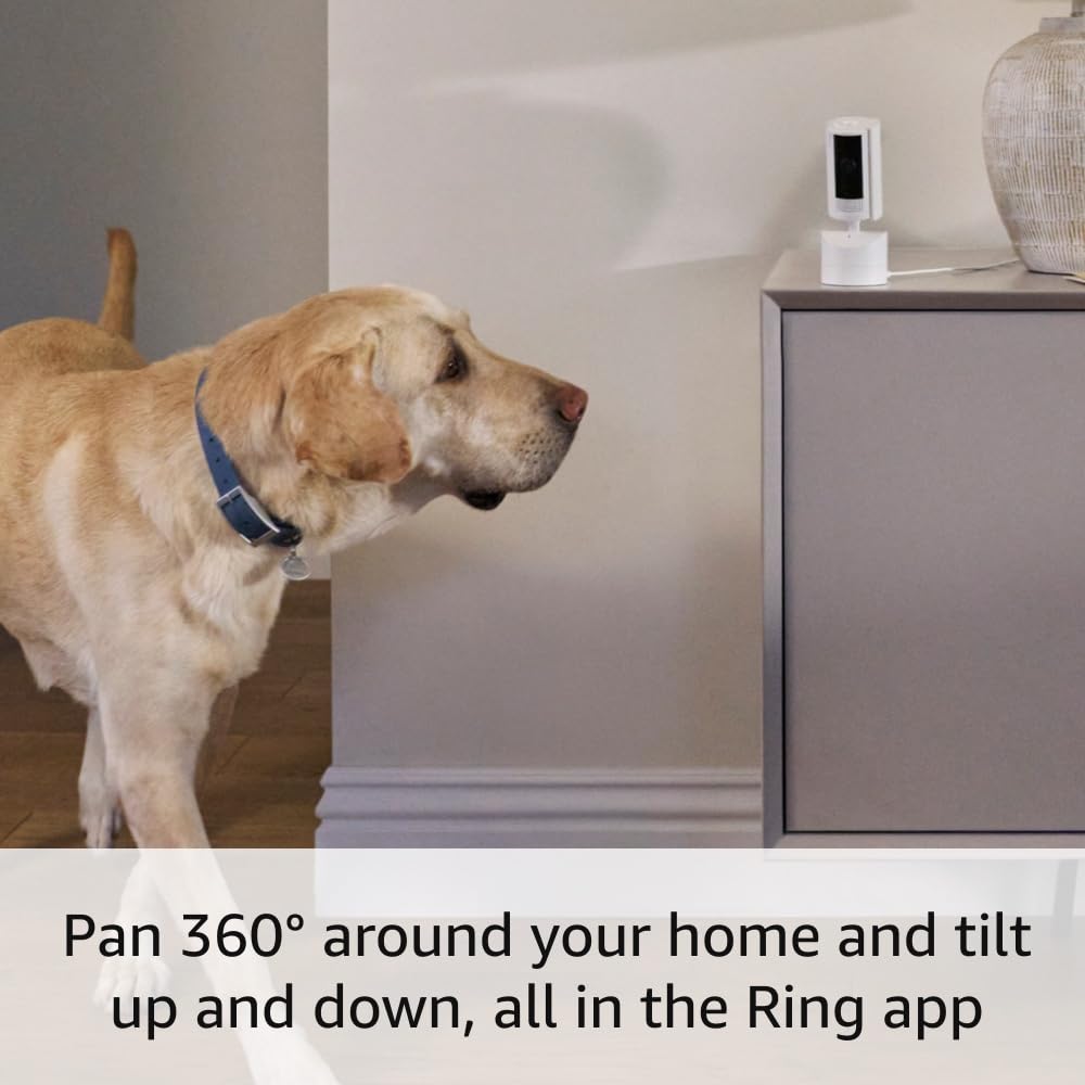 Ring Pan-Tilt Indoor Cam | See All around with 360° Pan Coverage - HD Video Plus Two-Way Talk (2024 Release)