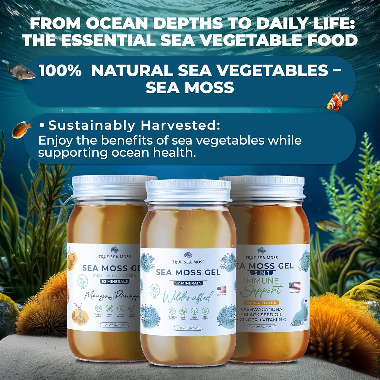 Wildcrafted Irish Sea Moss Gel –7 Flavors- Nutritious Raw Seamoss Rich in Minerals, Proteins & Vitamins – Antioxidant Health Sea Moss, Vegan Made in USA (MANGO/PINEAPPLE, 1)