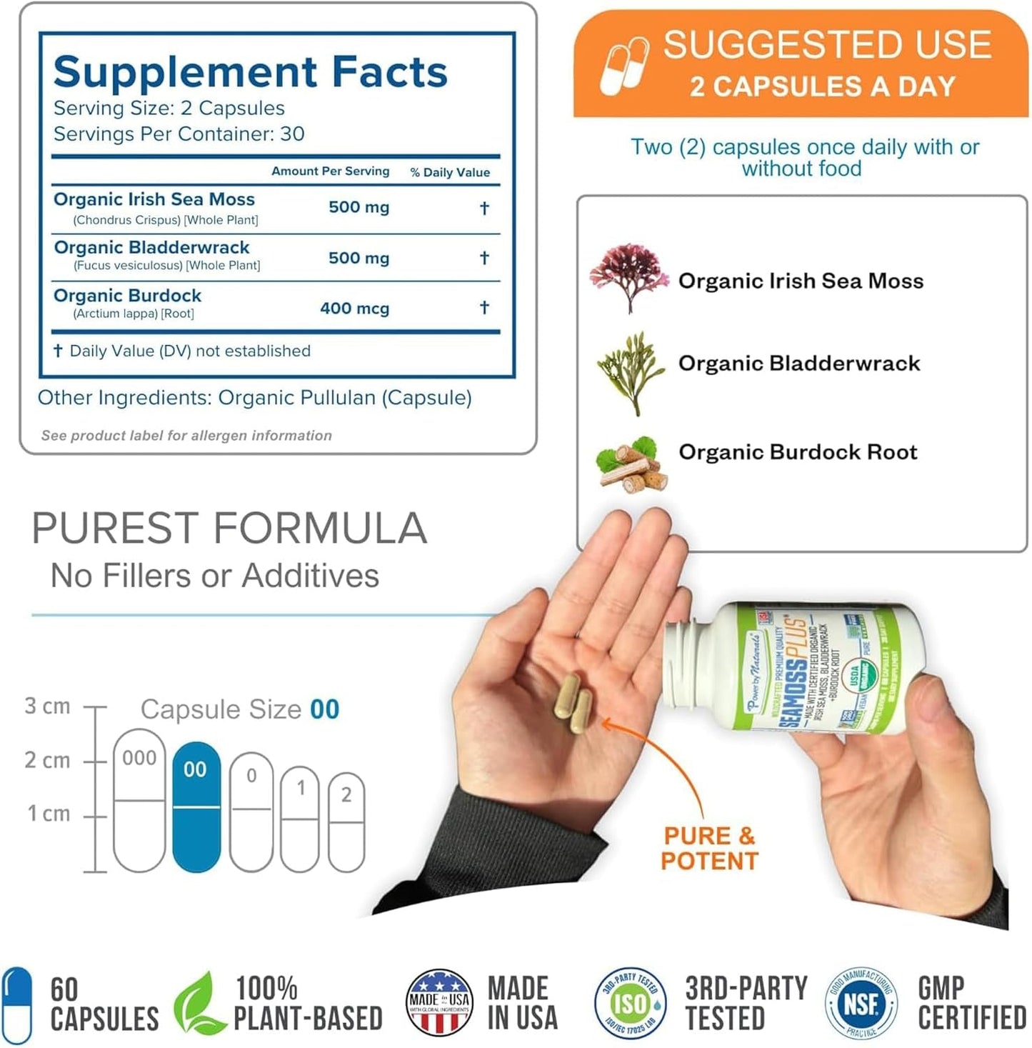Sea Moss plus - USDA Organic Irish Sea Moss Capsules W/Wild Harvested Irish Seamoss, Bladderwrack & Burdock Root Immunity Supplement Sea Moss Pills for Adult 60Ct - 1 Pack