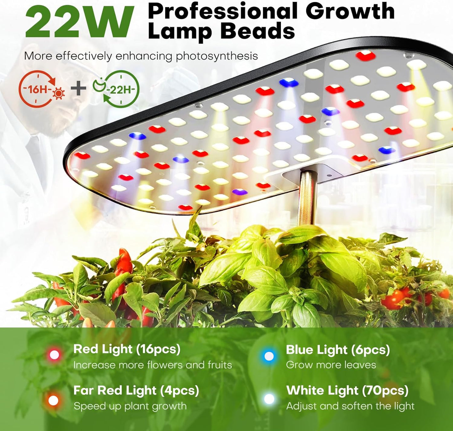  Ahopegarden Hydroponics Indoor Growing System for Herbs and Veggies